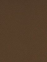 (2553) LP01 - Cognac - (Matt)
