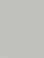 (2248) NF20 - Crispy Gray - (Matt)