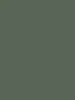 (2288) NH08 - Forest Green - (Matt)