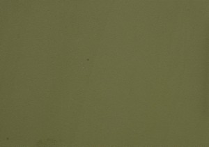 (1804) Olivengrønn (Matt) - DFC2