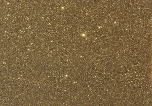 (1813) Glitter Gull - DFG1